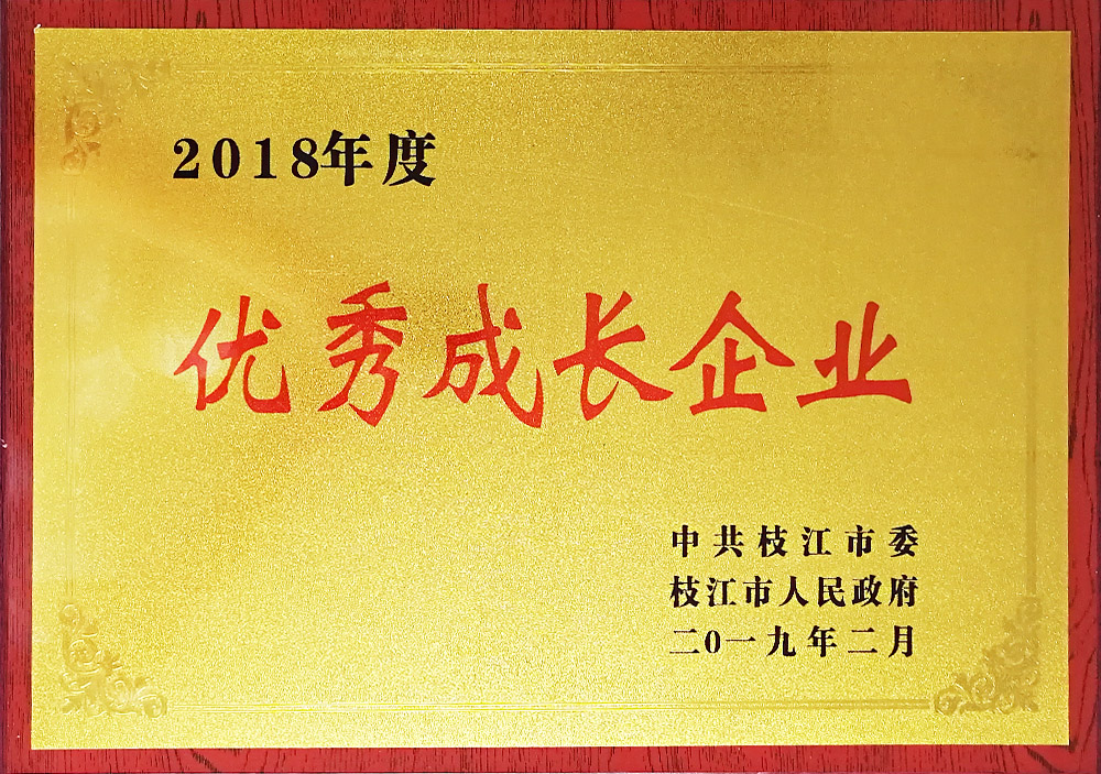 2018年度優秀成長企業